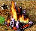 My Lands.gif